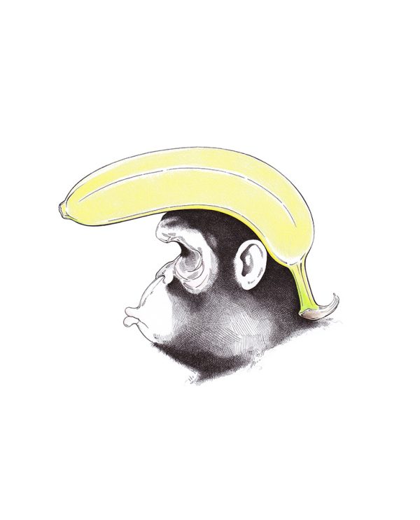 Karikatur eines Affen mit Trump-Frisur: "Planet of the Ape"