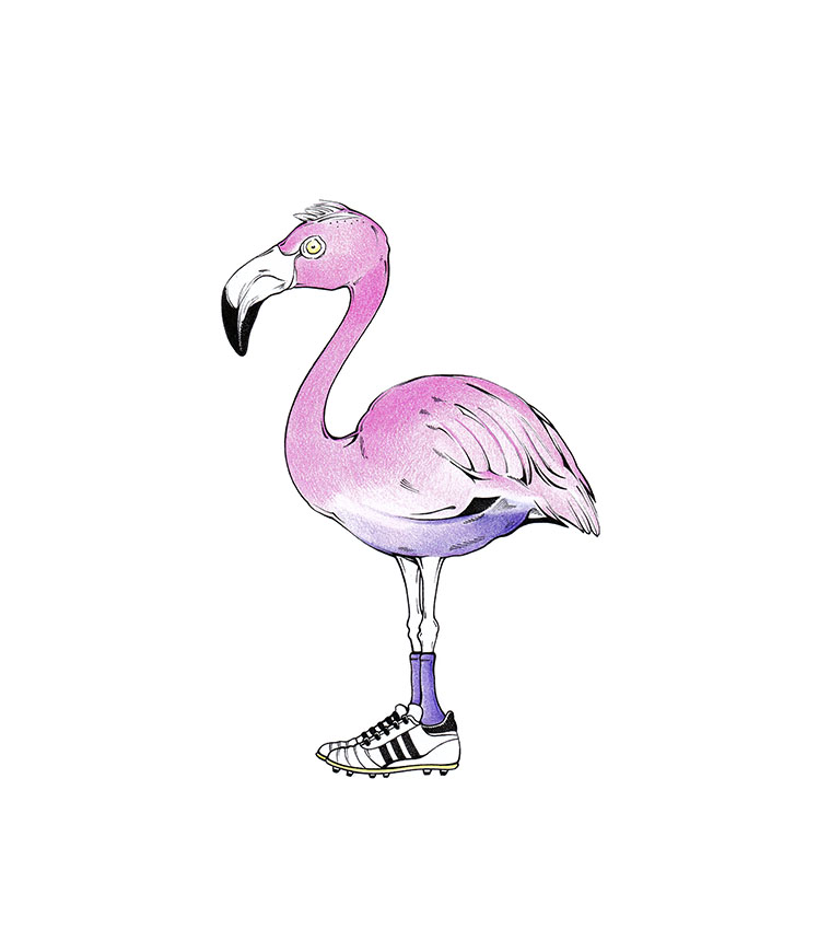 Deutscher Fußball-Flamingo - Pink Kicks