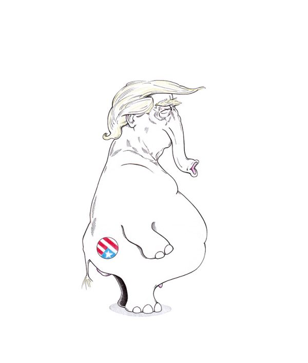 Politischer Cartoon von Donald Trump als dicker, weißer Elefant: This Fucking Elephant in My Room