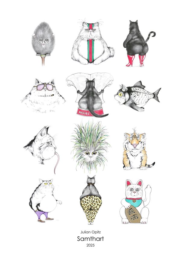 Katzen Kalender 2025 Titelseite